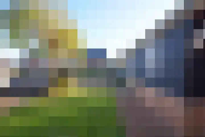 Koevinkje 21 De Goorn thumbnail 55