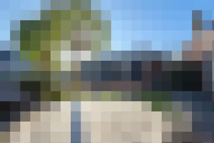 Koevinkje 21 De Goorn thumbnail 56