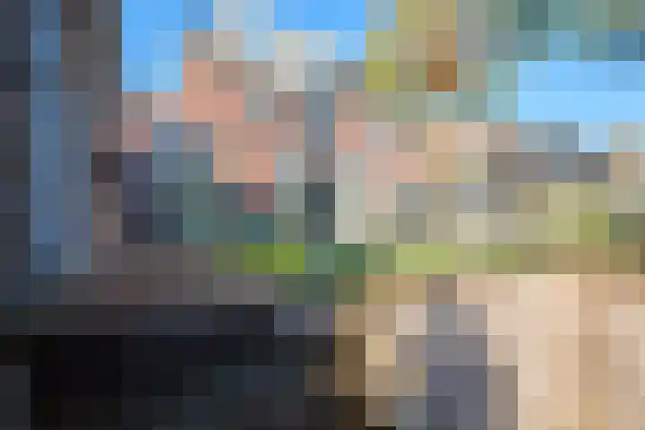 Koevinkje 21 De Goorn thumbnail 57