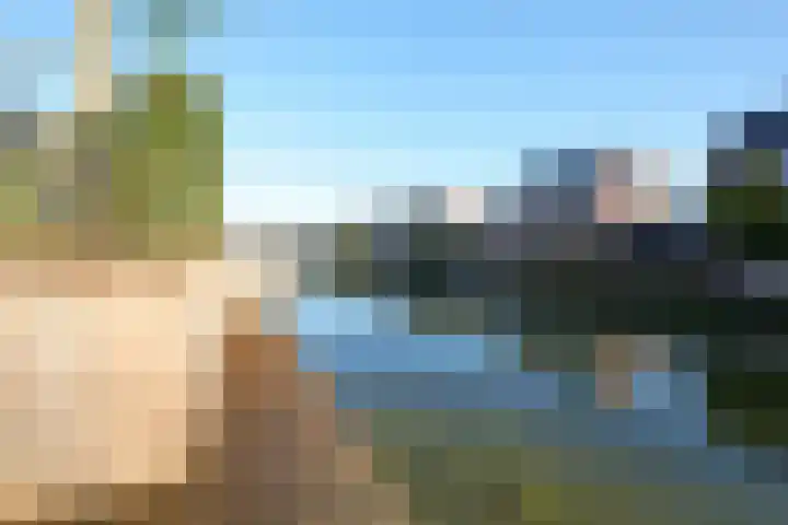 Koevinkje 21 De Goorn thumbnail 58