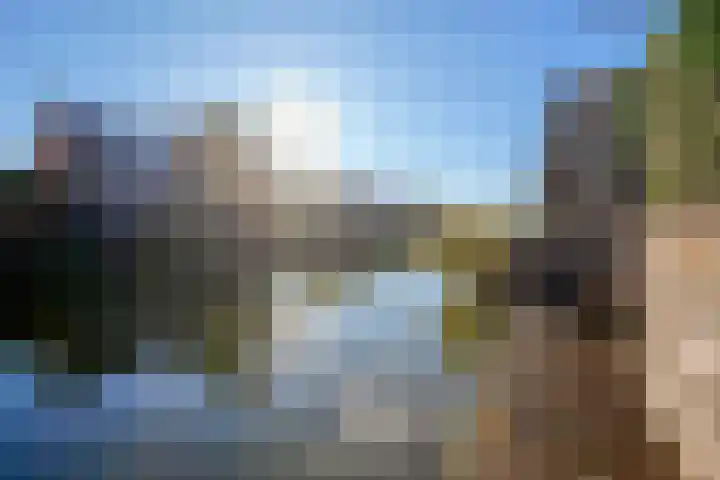 Koevinkje 21 De Goorn thumbnail 59