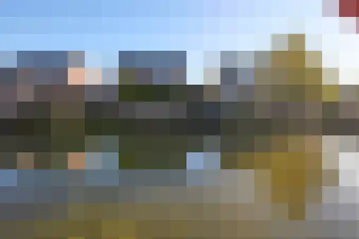 Koevinkje 21 De Goorn thumbnail 60