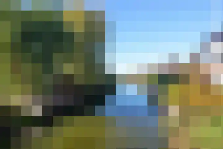 Koevinkje 21 De Goorn thumbnail 61