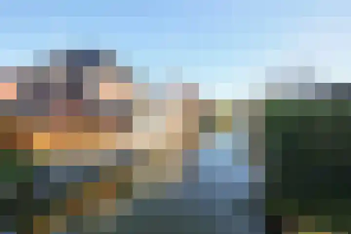 Koevinkje 21 De Goorn thumbnail 62