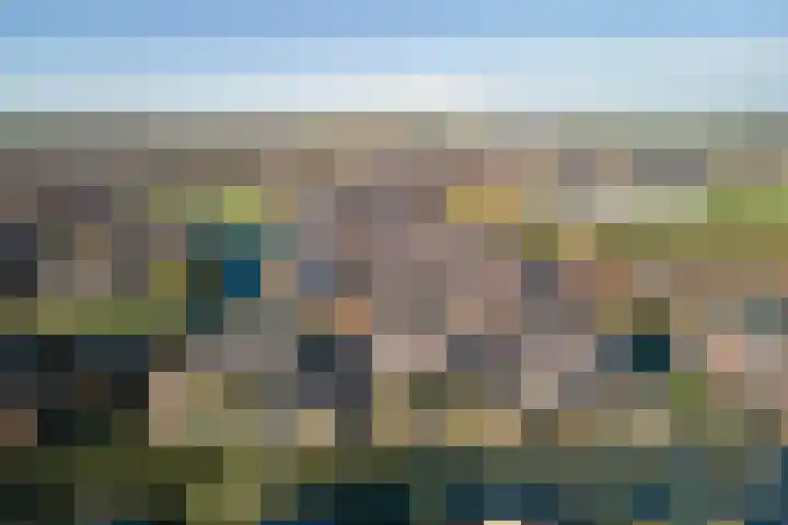 Koevinkje 21 De Goorn thumbnail 65