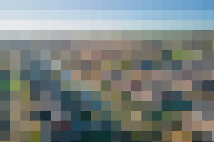 Koevinkje 21 De Goorn thumbnail 66