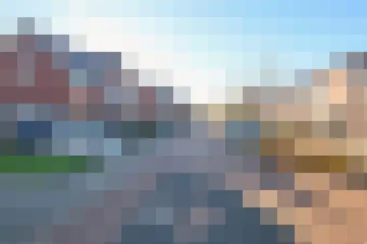 Koevinkje 21 De Goorn thumbnail 68