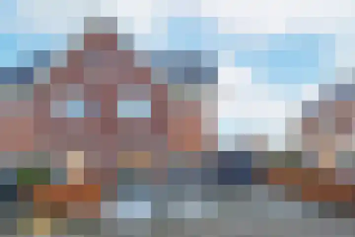 Koevinkje 21 De Goorn thumbnail 69