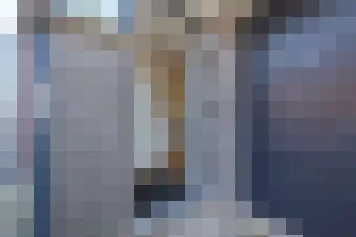 Koevinkje 21 De Goorn thumbnail 7