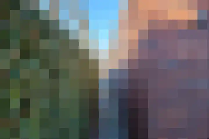 Koevinkje 21 De Goorn thumbnail 70