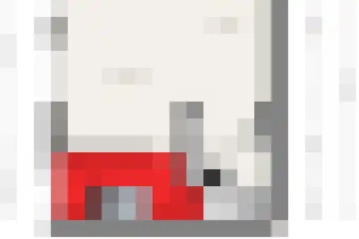 Koevinkje 5 Breda thumbnail 11
