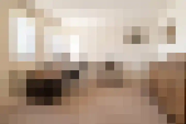 Koevinkje 5 Breda thumbnail 22