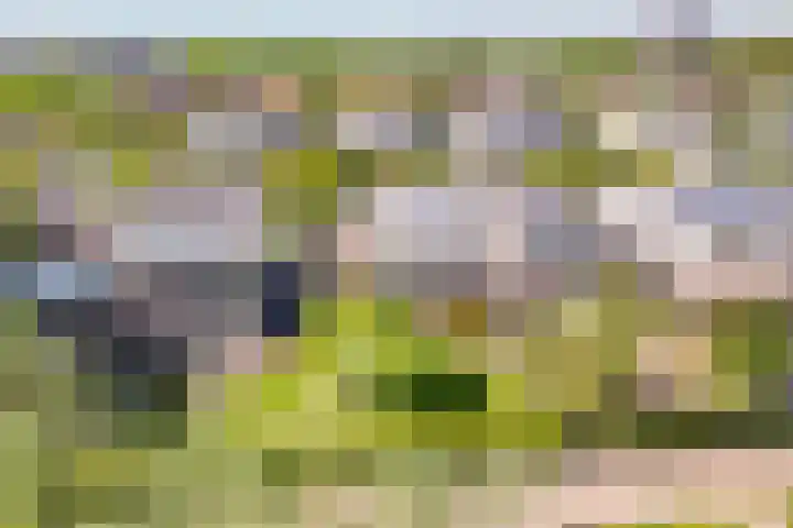 Koevinkje 5 Breda thumbnail 29