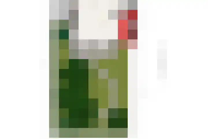 Koevinkje 5 Breda thumbnail 30