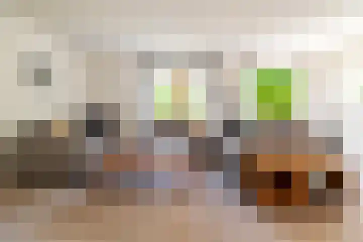 Koevinkje 5 Breda thumbnail 4
