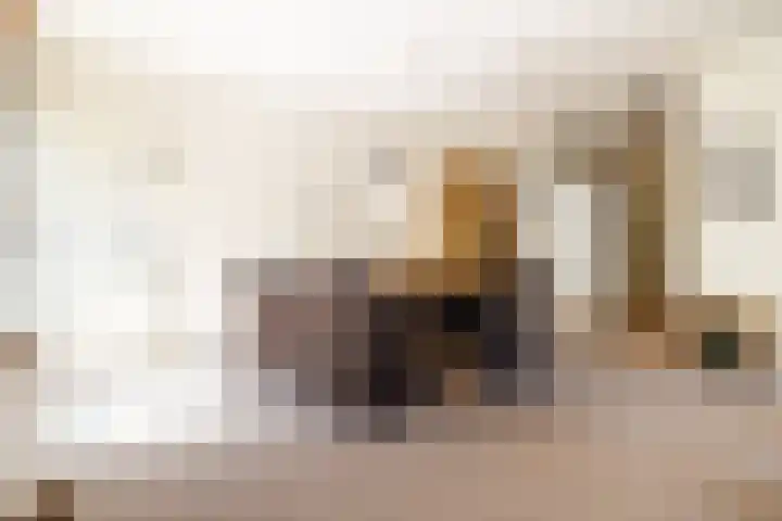 Koevinkje 5 Breda thumbnail 6