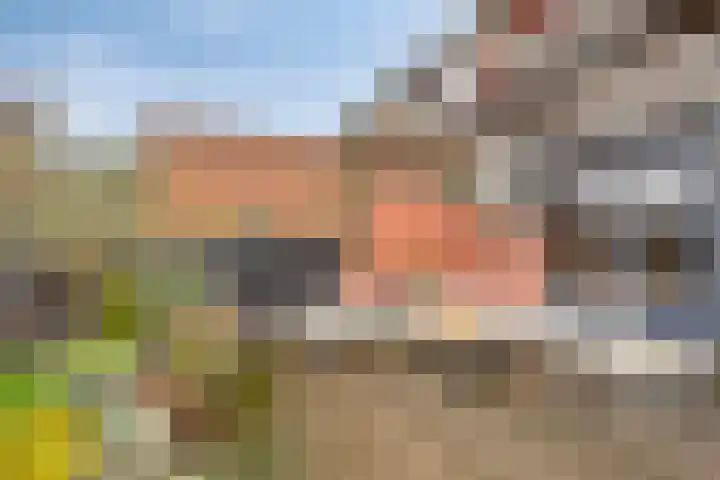 Koevoetstraat 6 a Bergen op Zoom thumbnail 36