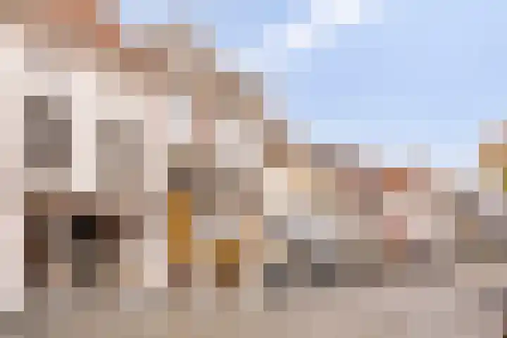 Koevoetstraat 6 a Bergen op Zoom thumbnail 7