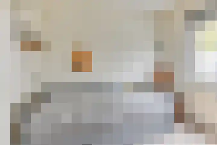 Koevoetstraat 61 Alkmaar thumbnail 18