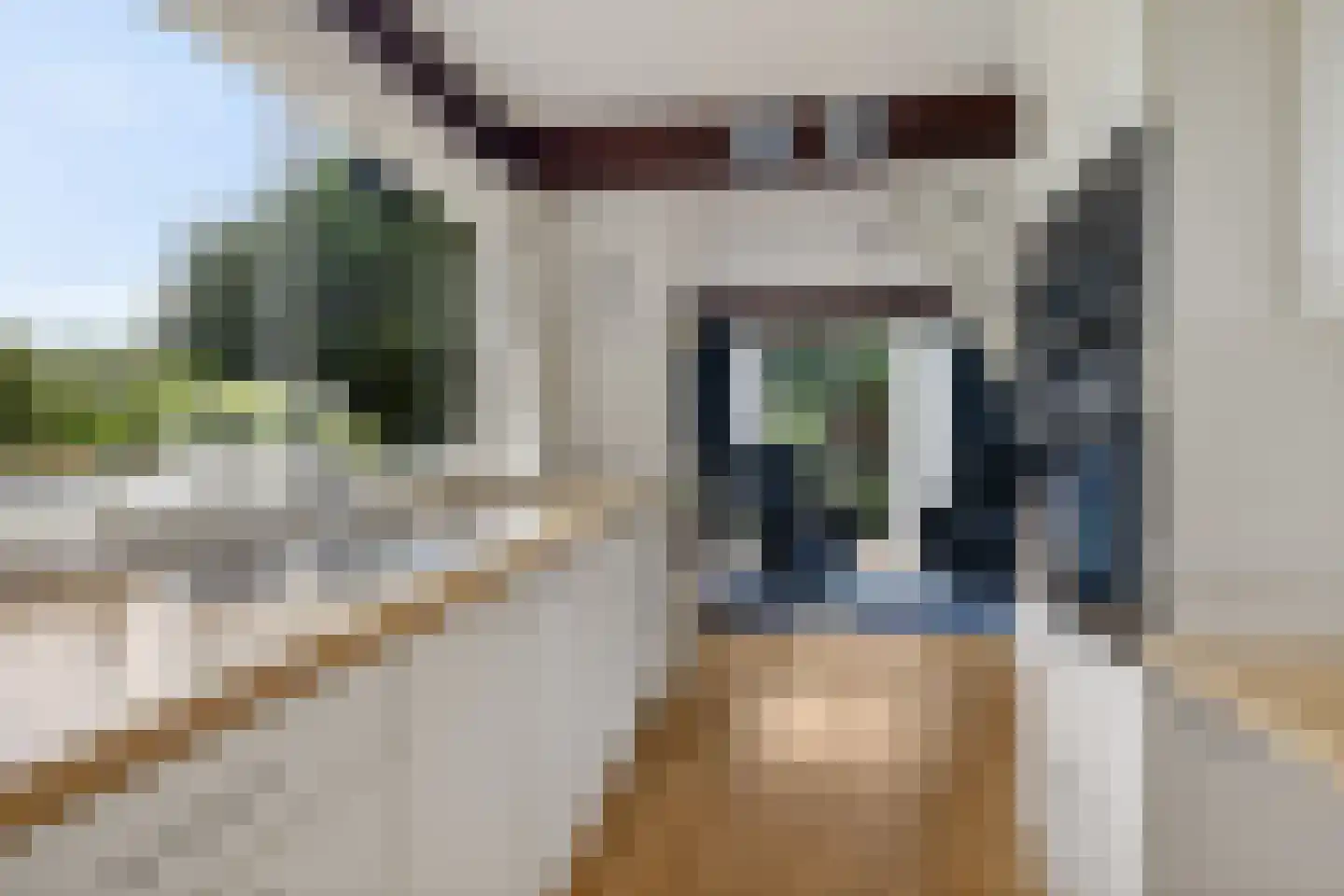 Koevorde 1 Heerenveen thumbnail 19