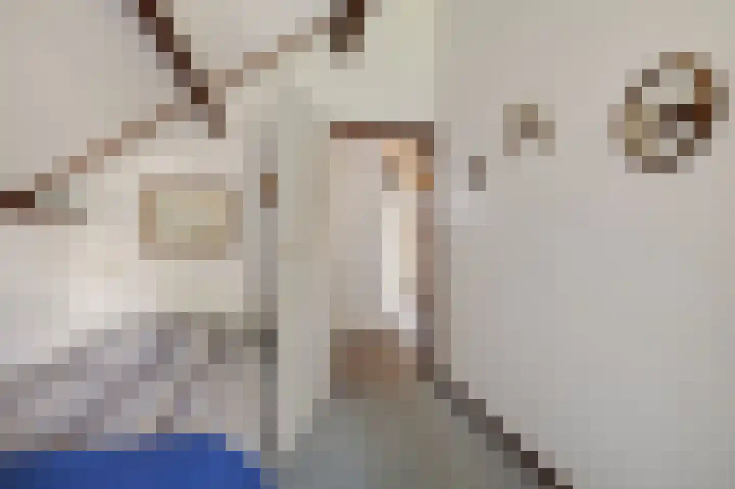 Koevorde 1 Heerenveen thumbnail 31