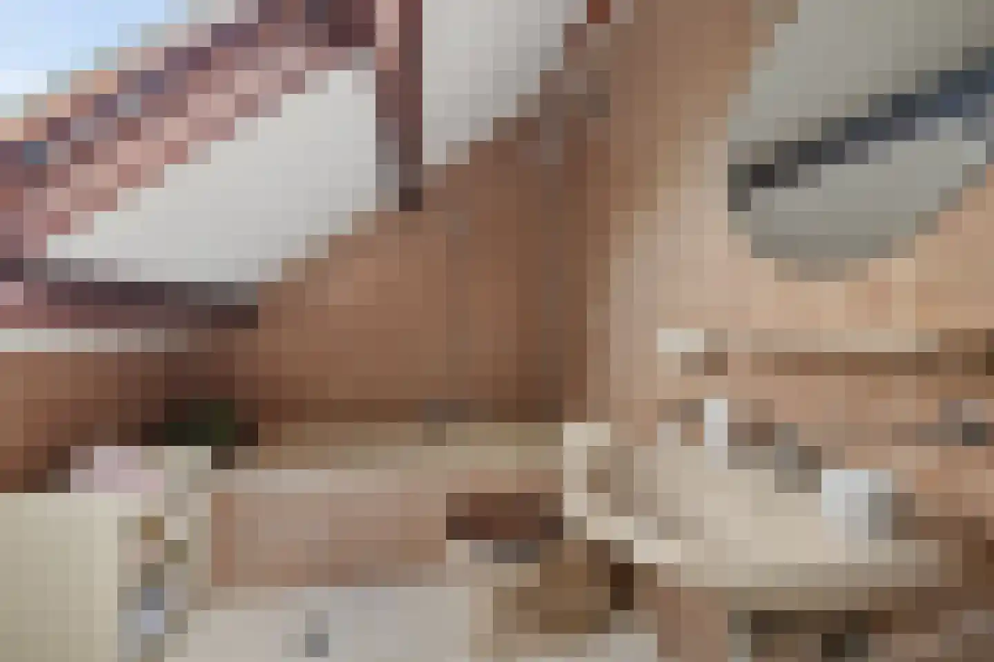 Koevorde 1 Heerenveen thumbnail 34