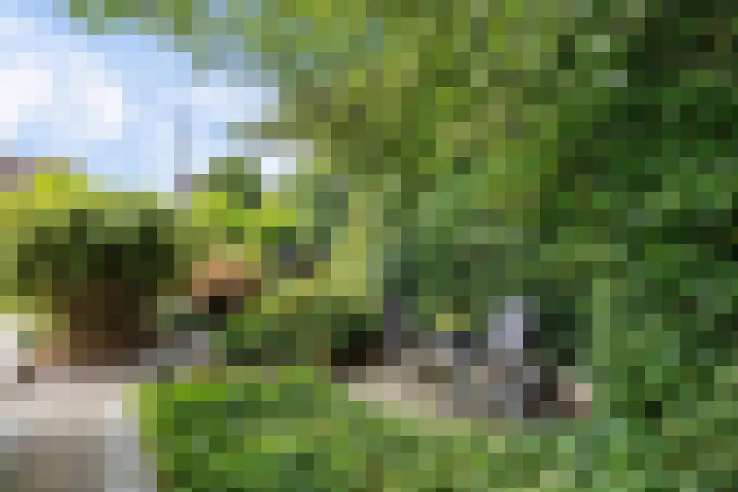Koevorde 1 Heerenveen thumbnail 36