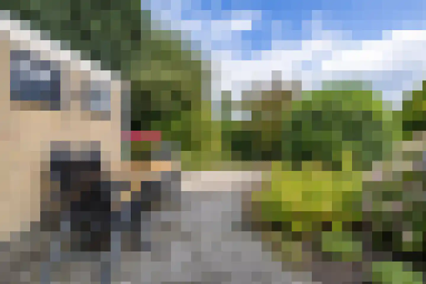 Koevorde 1 Heerenveen thumbnail 37