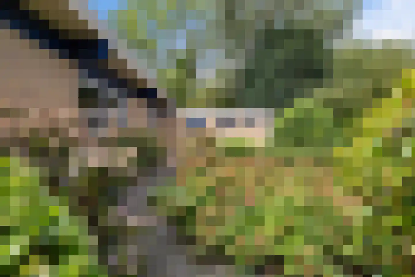 Koevorde 1 Heerenveen thumbnail 41