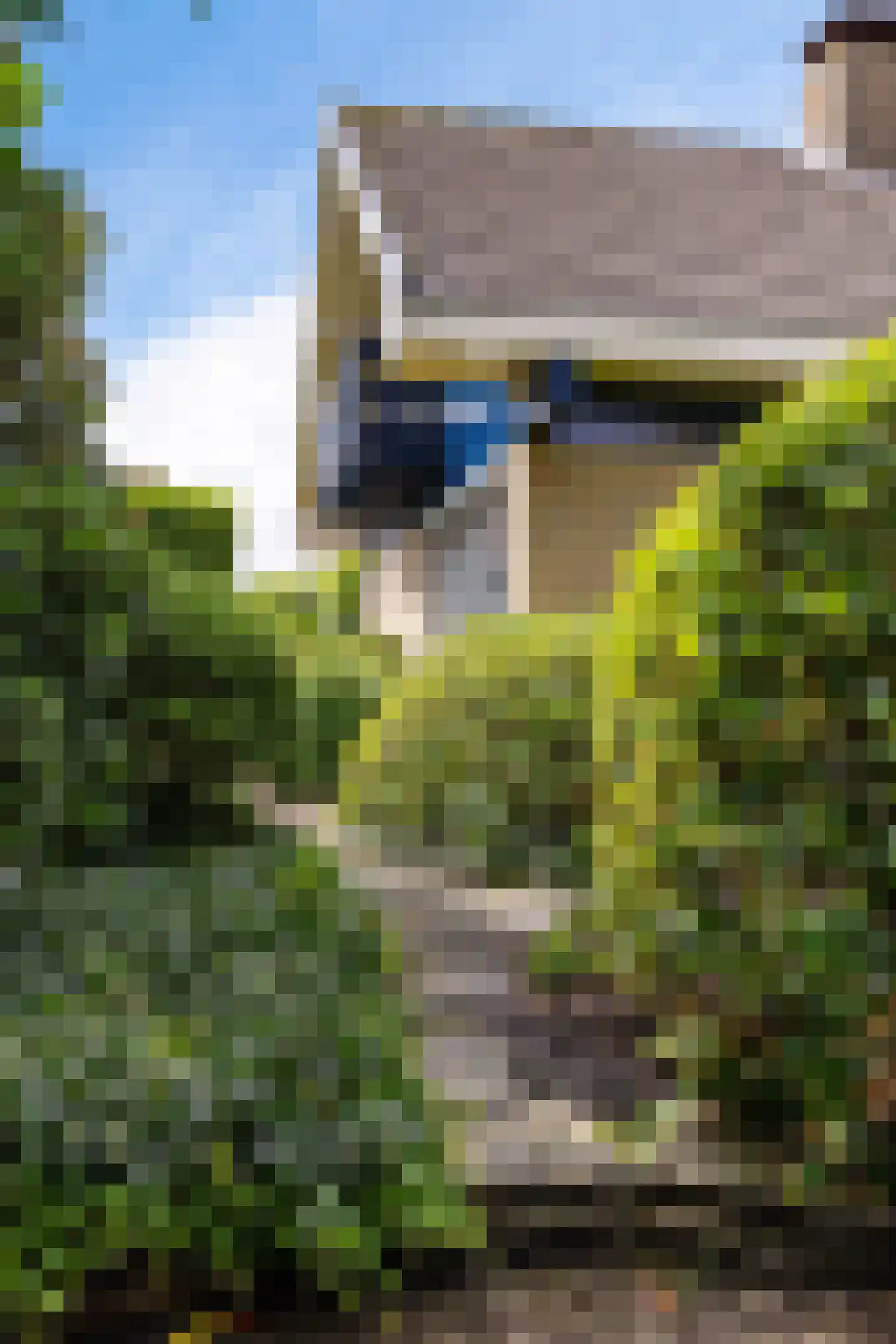 Koevorde 1 Heerenveen thumbnail 43
