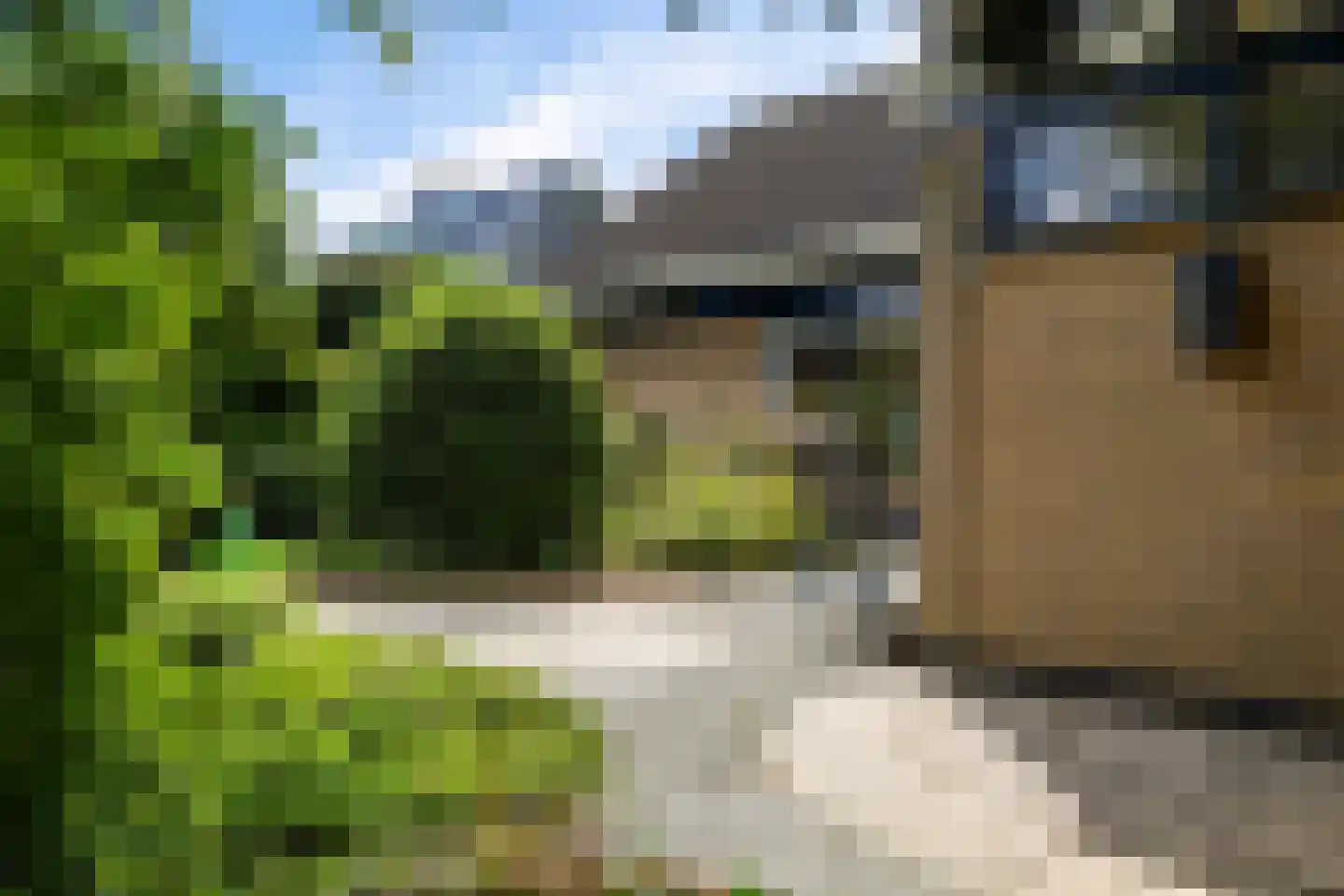 Koevorde 1 Heerenveen thumbnail 44