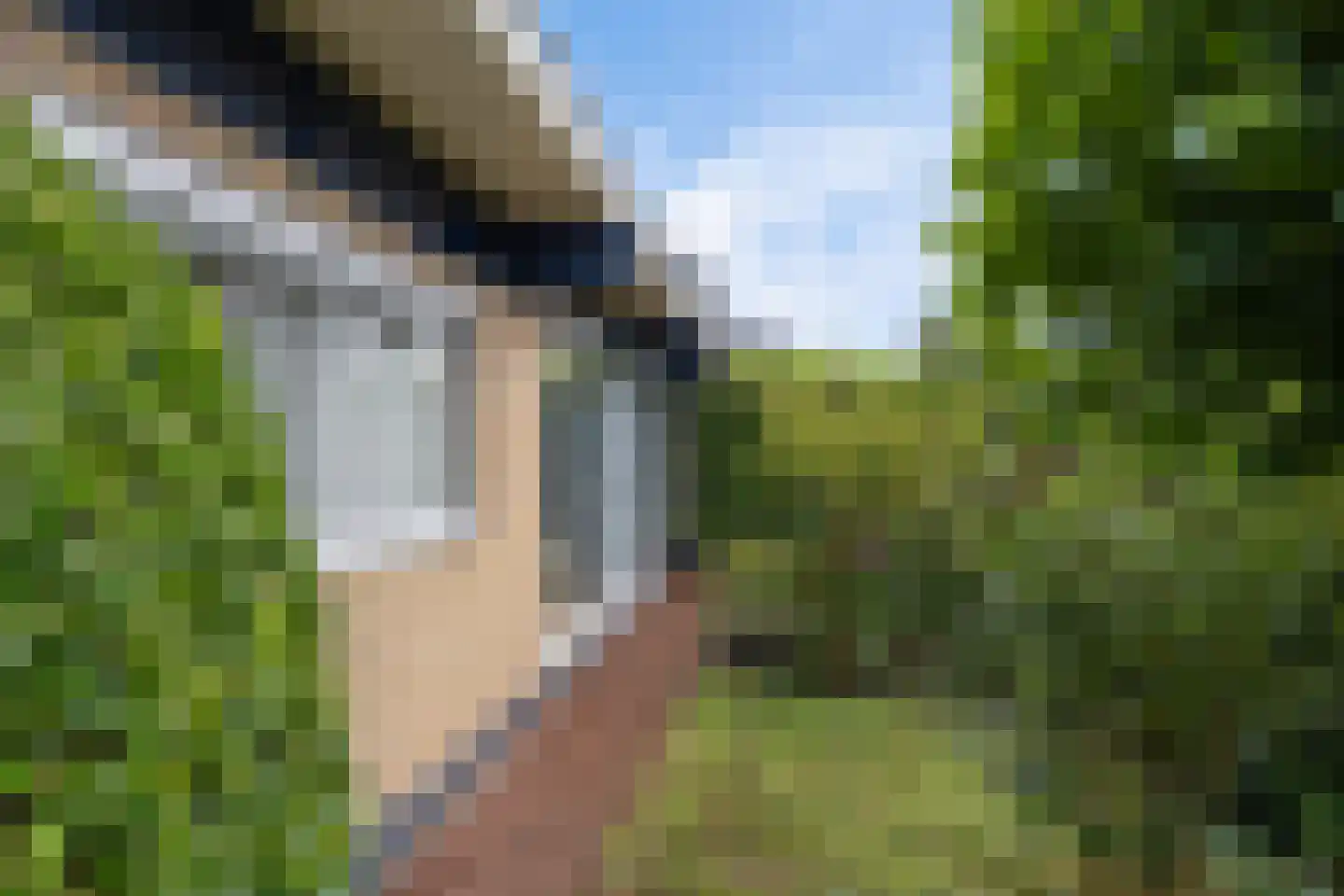 Koevorde 1 Heerenveen thumbnail 48
