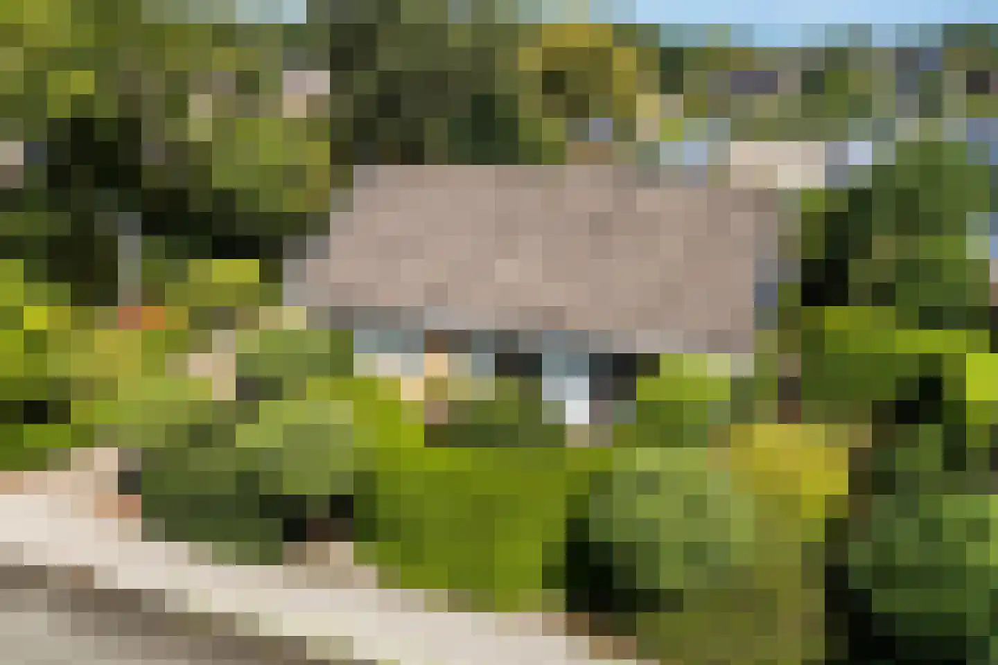 Koevorde 1 Heerenveen thumbnail 50