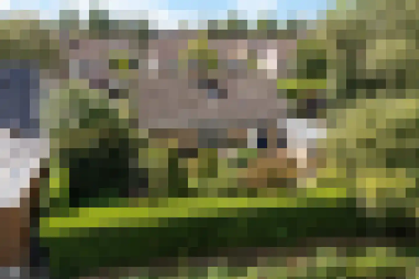 Koevorde 1 Heerenveen thumbnail 51