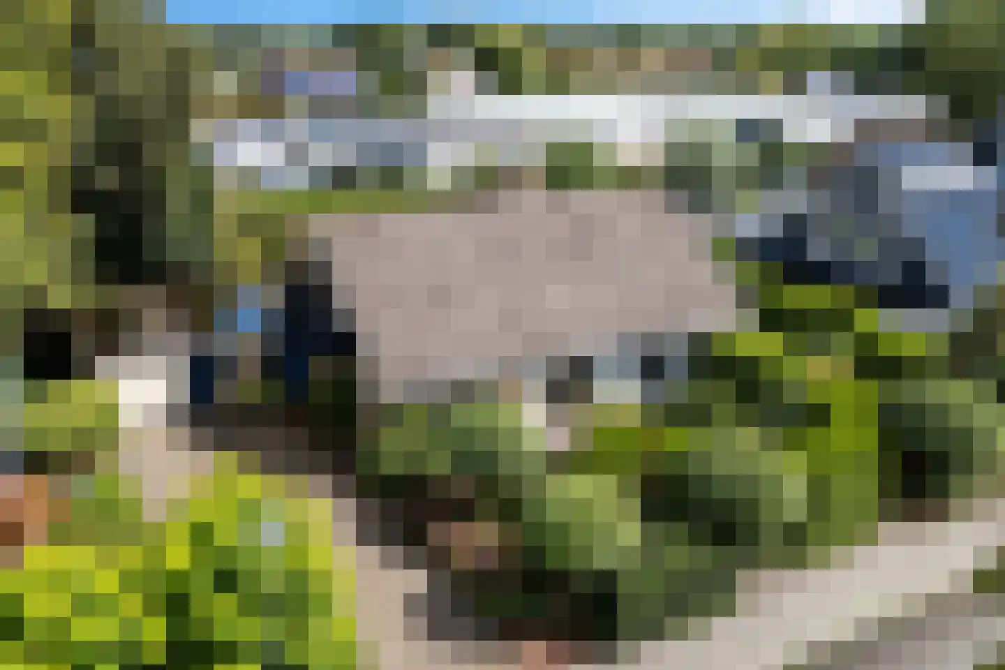 Koevorde 1 Heerenveen thumbnail 6