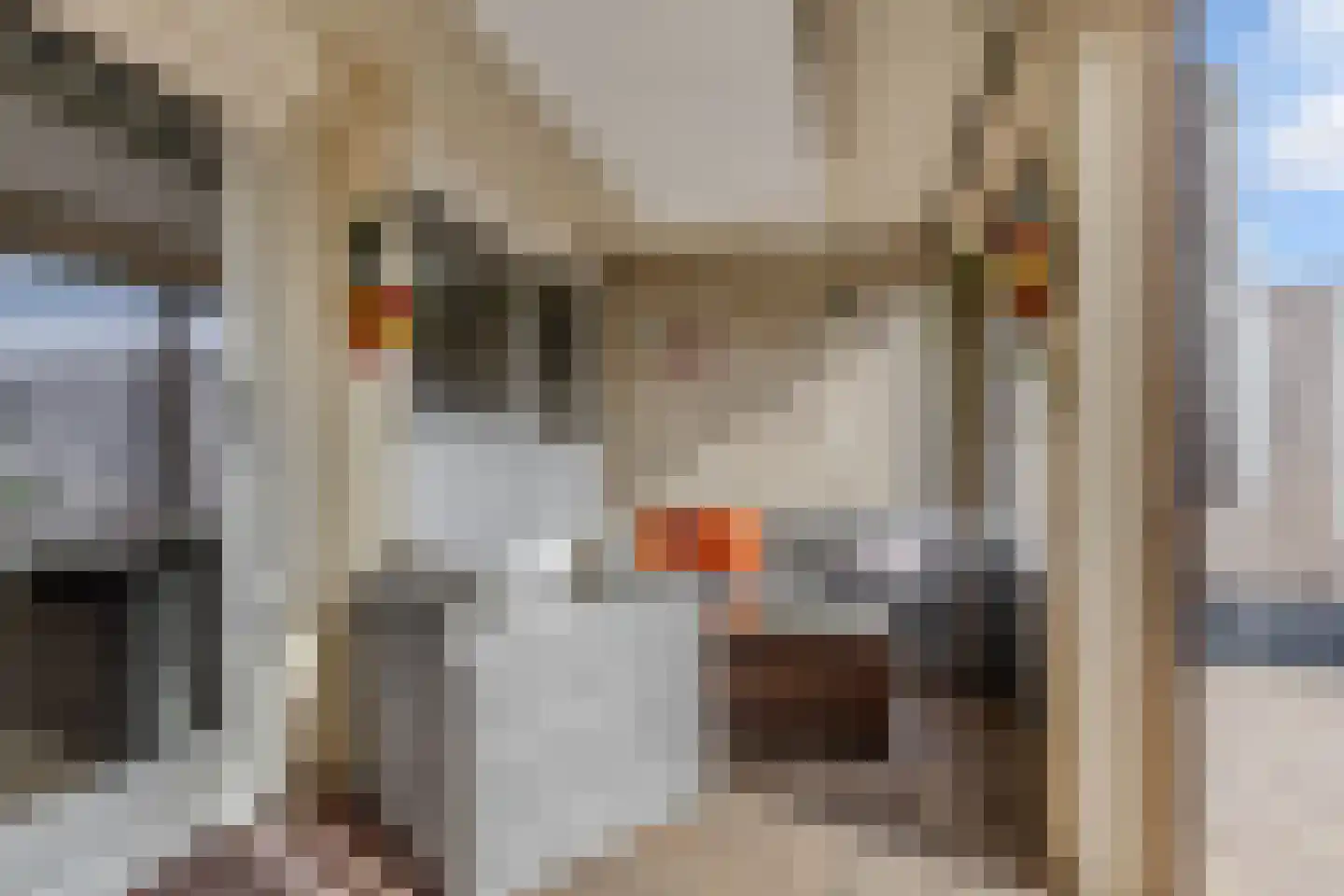 Koevordermeerstraat 19 Lemmer thumbnail 15