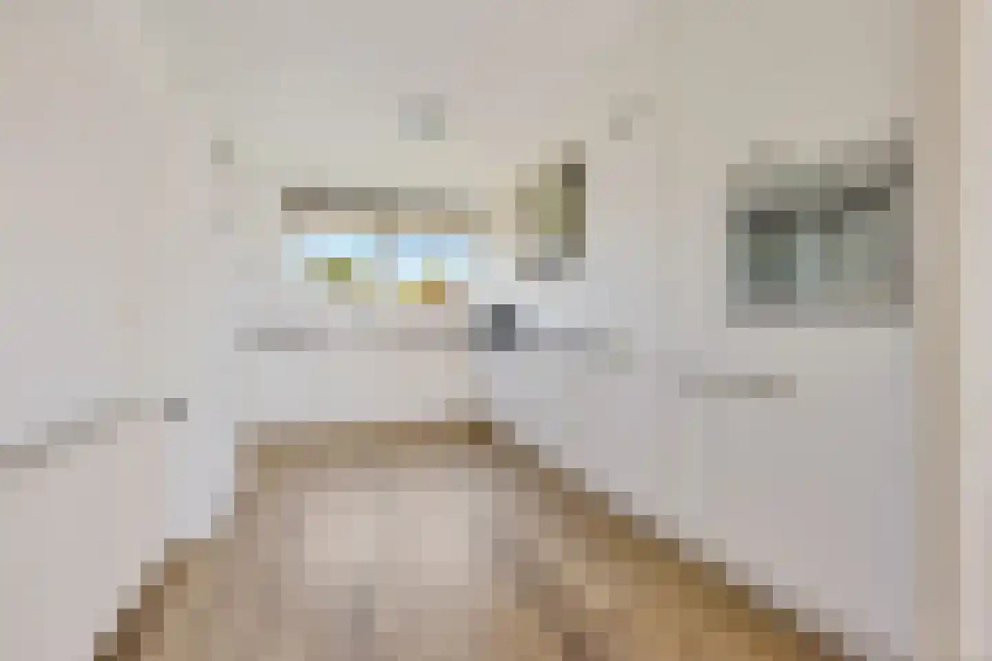 Koevordermeerstraat 9 Lemmer thumbnail 13