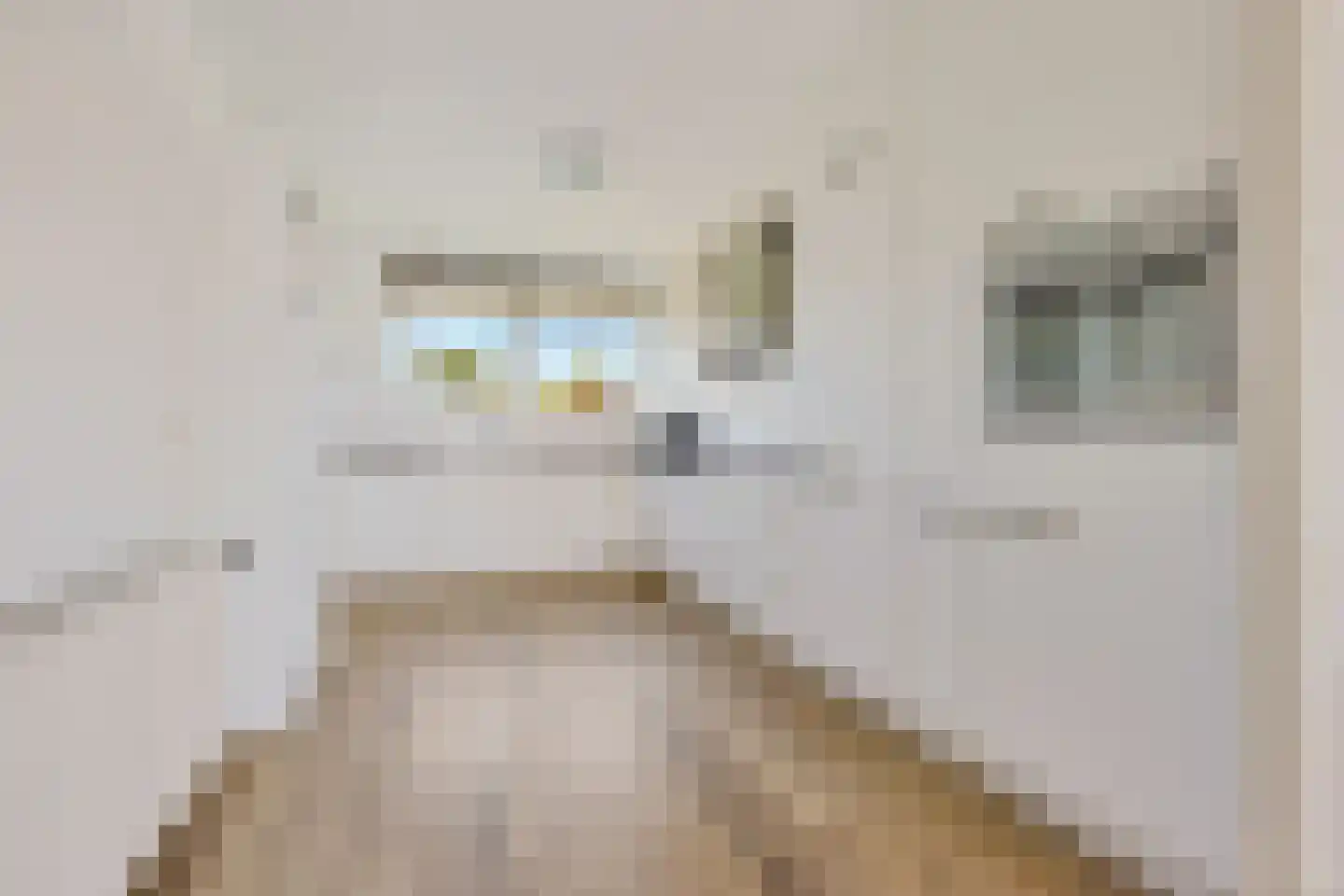 Koevordermeerstraat 9 Lemmer thumbnail 13