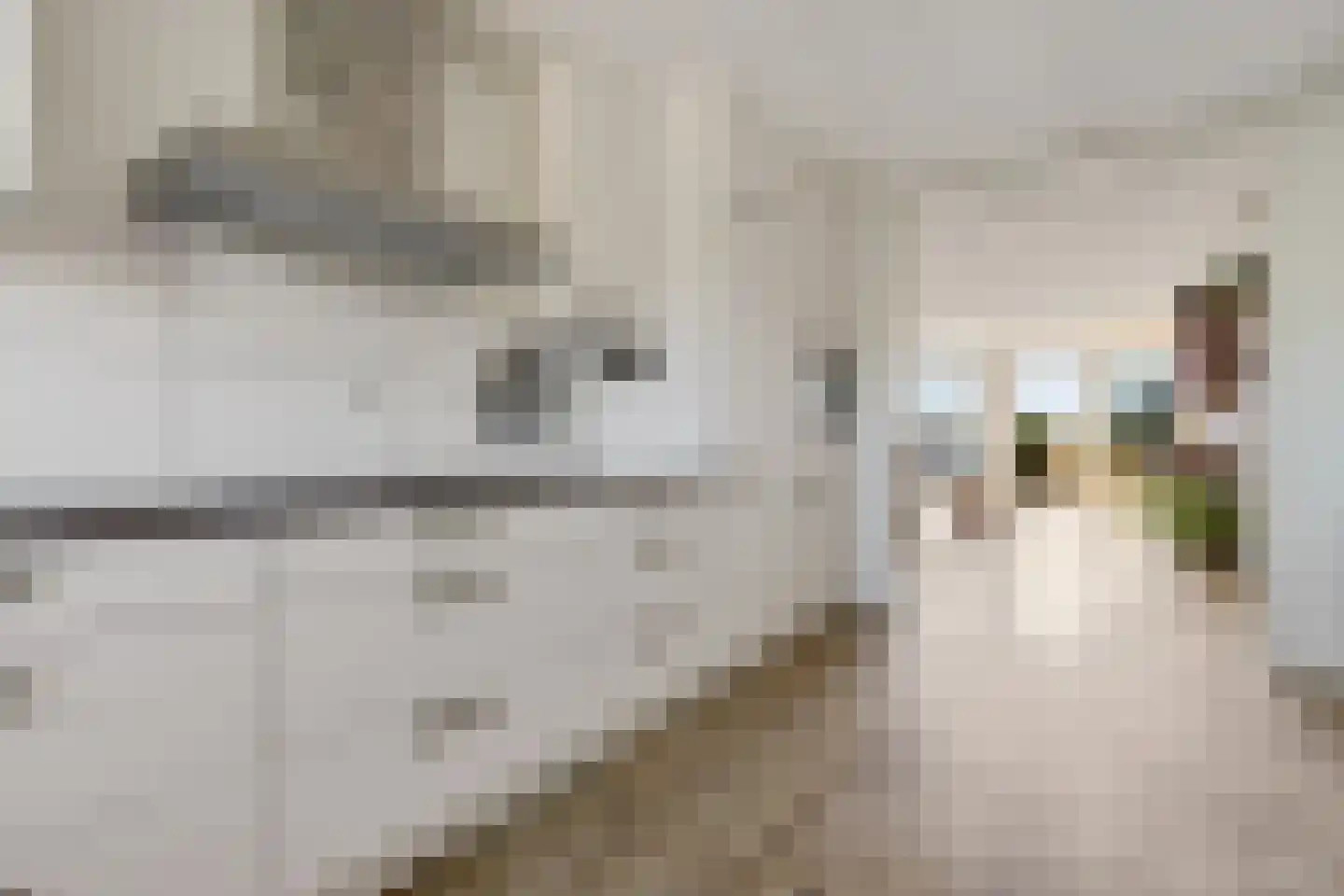 Koevordermeerstraat 9 Lemmer thumbnail 14