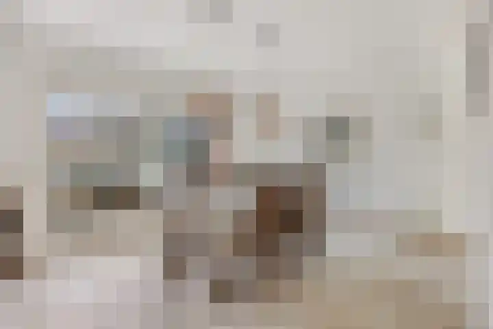 Koeweg 15 Wijchen thumbnail 11