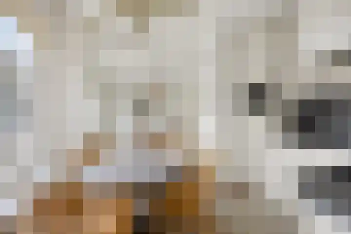 Koeweg 15 Wijchen thumbnail 17