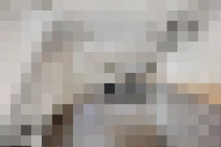 Koeweg 15 Wijchen thumbnail 21