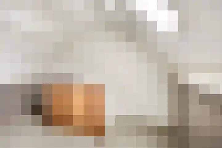 Koeweg 15 Wijchen thumbnail 22