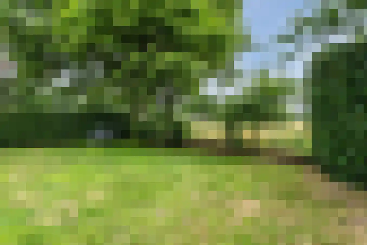 Koeweg 16 11 Otterlo thumbnail 34