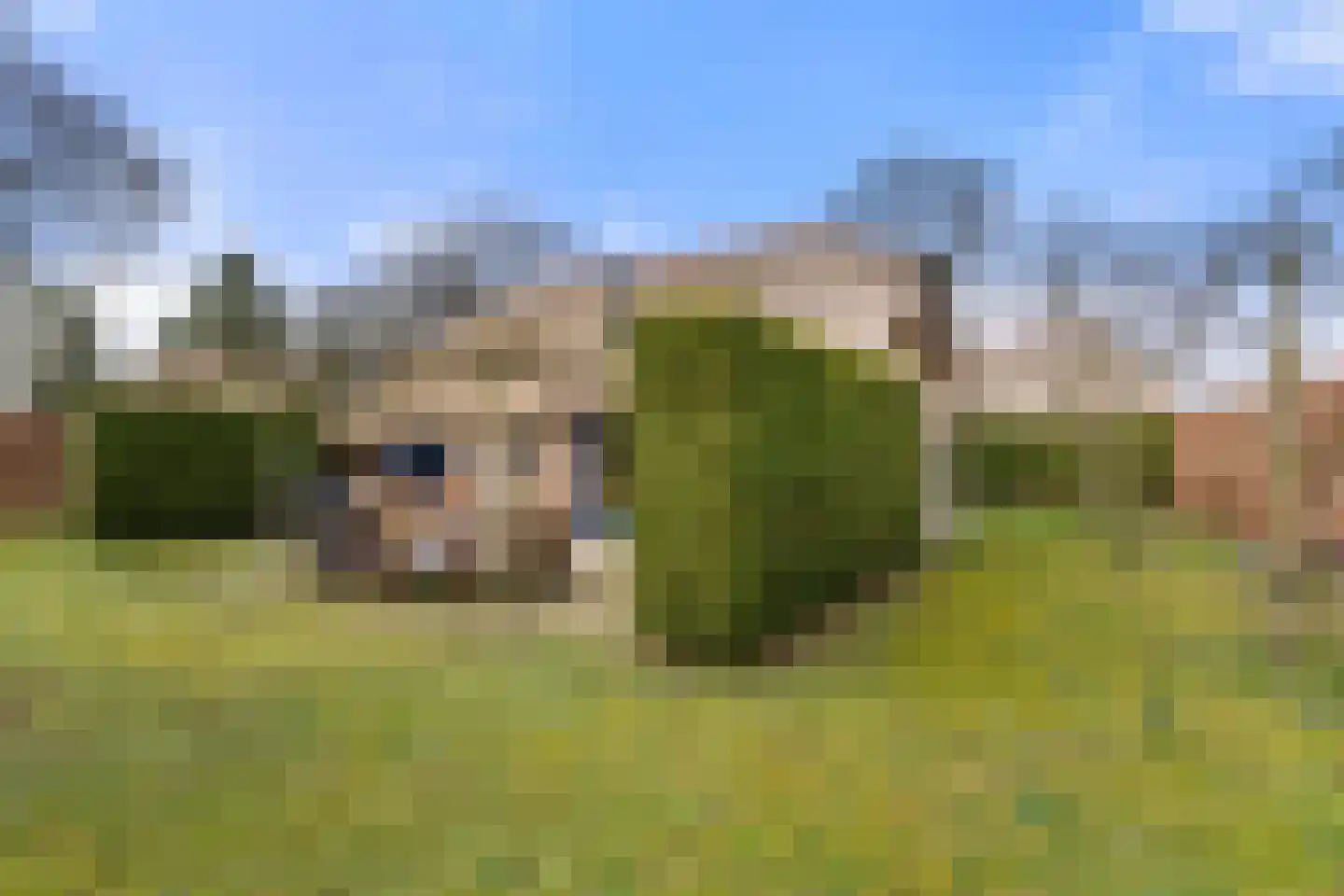 Koeweg 16 3 Otterlo thumbnail 28