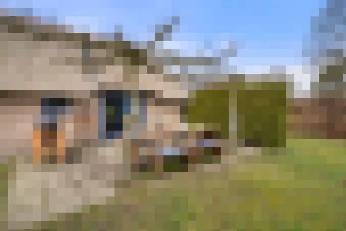 Koeweg 16 3 Otterlo thumbnail 29