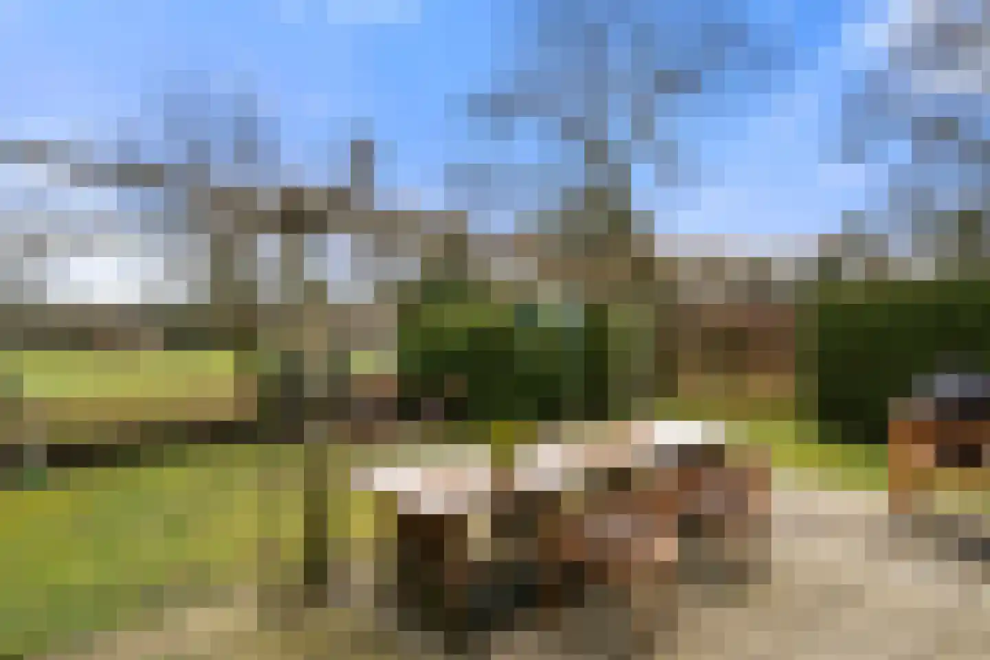 Koeweg 16 3 Otterlo thumbnail 31