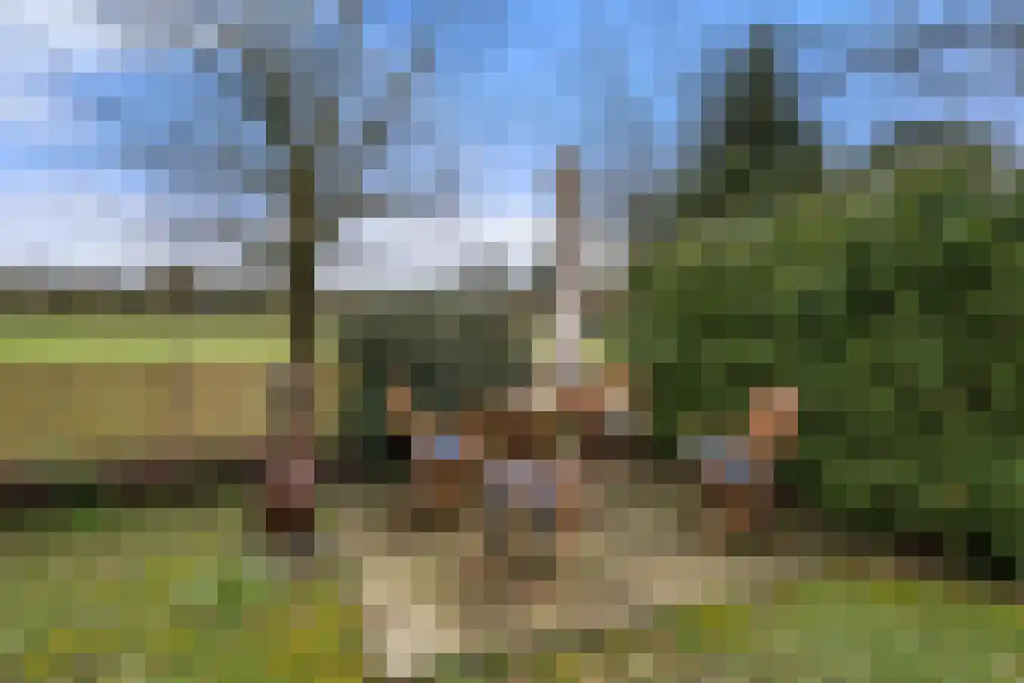 Koeweg 16 3 Otterlo thumbnail 32