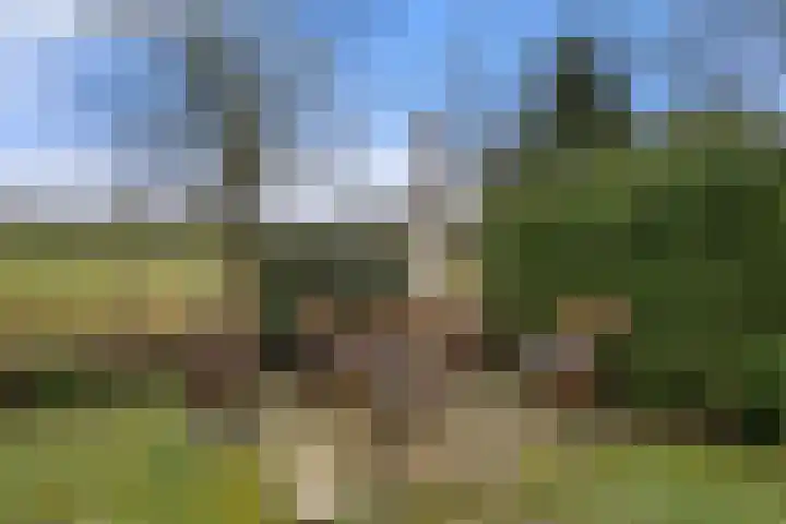 Koeweg 16 3 Otterlo thumbnail 33