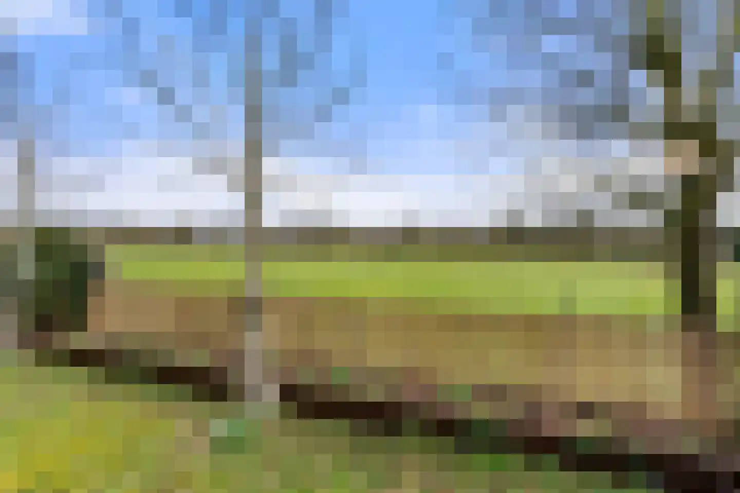 Koeweg 16 3 Otterlo thumbnail 33